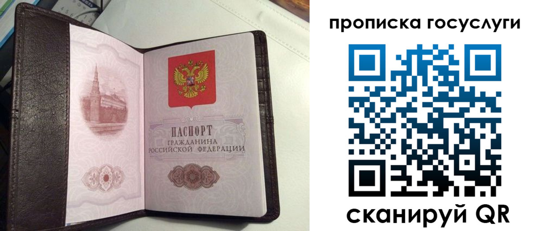 временная прописка в Дорогобуже
